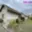 Prodej rodinného domu 157 m² Dlouhopolsko, Poděbradská
