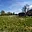 Prodej stavební parcely 294 m² Dolní Lutyně