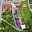 Prodej stavební parcely 1 158 m² Zahnašovice