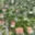 Prodej rodinného domu 214 m² Měchenice
