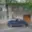 Prodej rodinného domu 800 m² Brno, Viniční