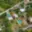 Prodej zahrady 400 m² Suchohrdly