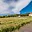 Prodej stavební parcely 829 m² Košátky