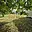 Prodej stavební parcely 740 m² Petřvald 1-