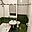 Pronájem bytu 1+kk a garsoniéry 20 m² Jihlava, Okružní