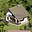 Prodej chaty 60 m² Borovnice