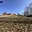 Prodej stavební parcely 4 000 m² Kladky
