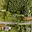 Prodej stavební parcely 1 467 m² Rychvald, Rybničná