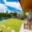 Prodej zahrady 204 m² Opava Předměstí, Otická