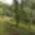 Prodej zahrady 1 984 m² Hýskov