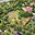 Prodej stavební parcely 3 223 m² Husinec