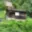 Prodej chaty 28 m² Povrly