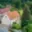 Prodej rodinného domu 85 m² Kácov