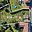 Prodej stavební parcely 650 m² Stašov