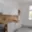 Pronájem bytu 2+1 63 m² České Budějovice 3, Puklicova