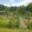 Prodej zahrady 289 m² Mariánské Lázně Úšovice