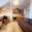 Prodej bytu 1+1 49 m² Děčín VI-Letná, Novoměstská