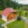 Prodej chalupy 104 m² Borušov Svojanov