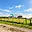 Prodej stavební parcely 895 m² Milostín Povlčín