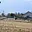 Prodej stavební parcely 3 795 m² Lipová-lázně