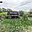 Prodej stavební parcely 1 470 m² Velké Losiny, Bukovická
