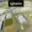 Pronájem skladu 6 662 m² Cheb Hradiště, Průmyslový park