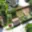 Prodej stavební parcely 629 m² Lomnice nad Lužnicí, Školní