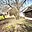 Prodej stavební parcely 973 m² Olešná