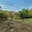 Prodej stavební parcely 3 043 m² Hulín Chrášťany