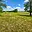 Prodej stavební parcely 4 308 m² Dyjákovice