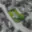 Prodej stavební parcely 878 m² Lipník nad Bečvou