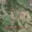 Prodej zahrady 6 697 m² Doubravice