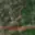 Prodej lesa 1 402 m² Valašská Senice