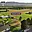 Prodej stavební parcely 959 m² Třinec