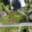 Prodej stavební parcely 774 m² Domašov u Šternberka