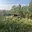 Prodej zahrady 972 m² Brno