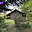 Prodej stavební parcely 1 390 m² Bystřice