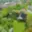 Prodej stavební parcely 1 008 m² Tršice