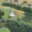 Prodej stavební parcely 3 100 m² Horní Bludovice