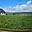 Prodej stavební parcely 914 m² Skuhrov Hatě