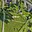 Prodej zahrady 1 019 m² Liberec XXV-Vesec, Vyhlídková