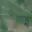 Prodej zemědělské půdy 4 871 m² Vracov
