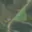 Prodej zemědělské půdy 9 106 m² Lešetice