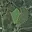 Prodej louky 32 080 m² Krňany
