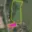 Prodej stavební parcely 6 121 m² Velké Kunětice