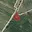 Prodej louky 6 872 m² Okrouhlice Babice