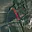 Prodej zemědělské půdy 7 973 m² Klobouky u Brna