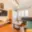 Prodej bytu 3+1 72 m² Šumperk, Jesenická