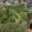 Prodej stavební parcely 1 000 m² Olomouc Droždín
