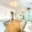 Pronájem bytu 2+1 43 m² Olomouc Nové Sady, Fischerova